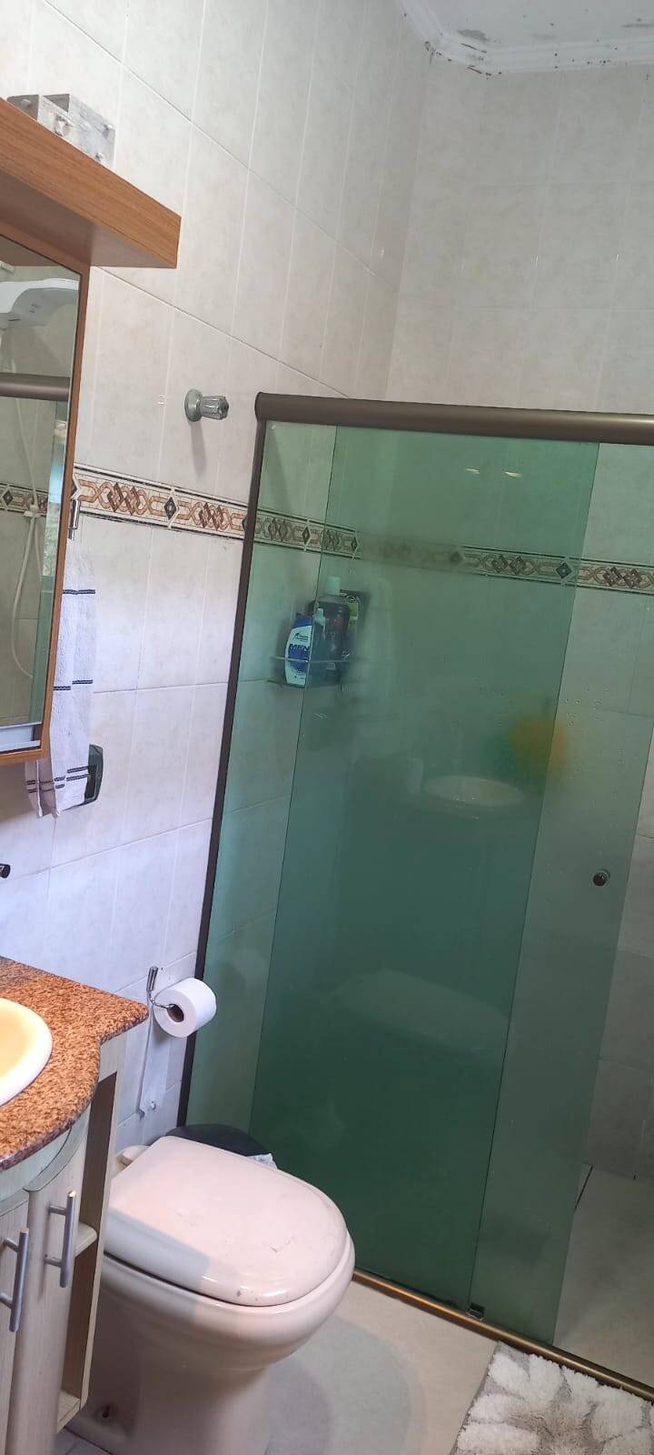 Casa, 3 quartos, 270 m² - Foto 12