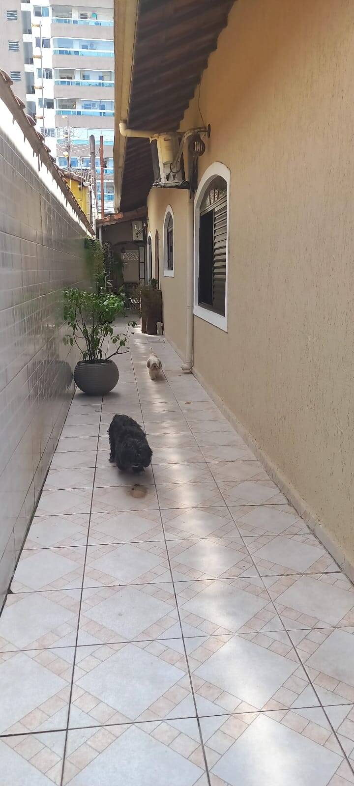 Casa, 3 quartos, 270 m² - Foto 67
