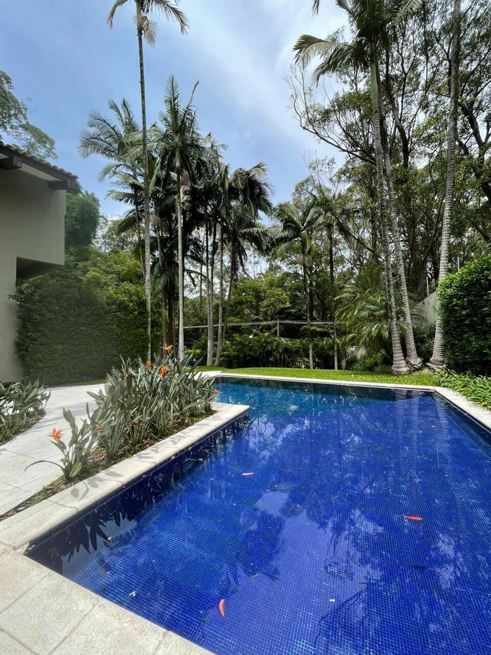 Casa, 5 quartos, 980 m² - Foto 3