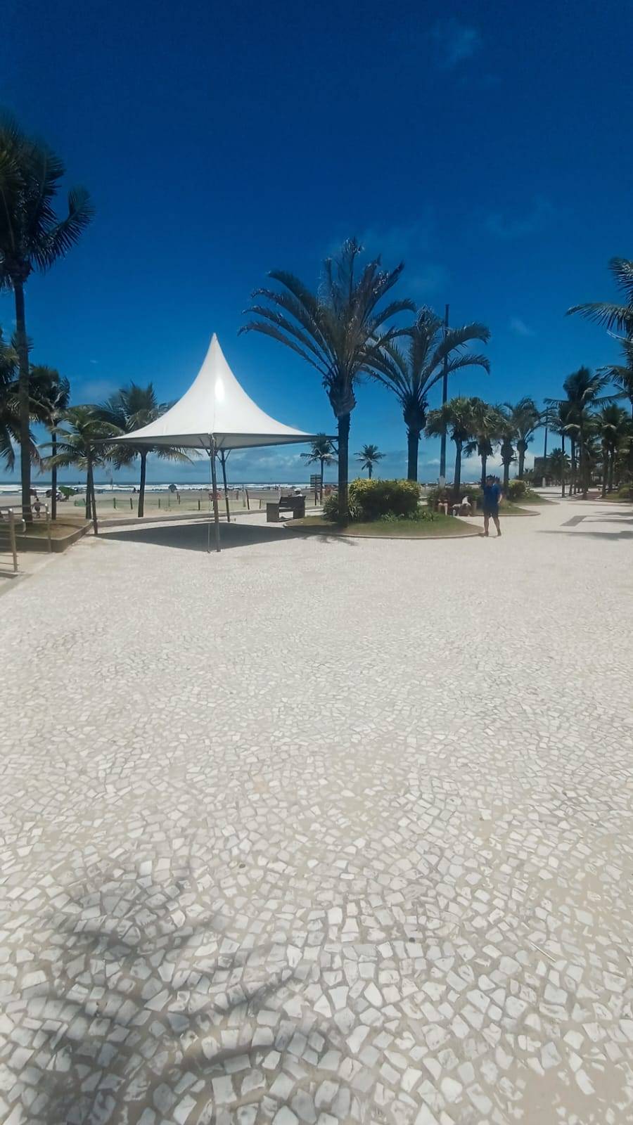 Apartamento, 3 quartos, 220 m² - Foto 29